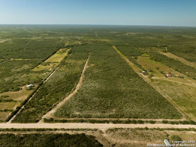 TBD County Road 103 - Photo 1