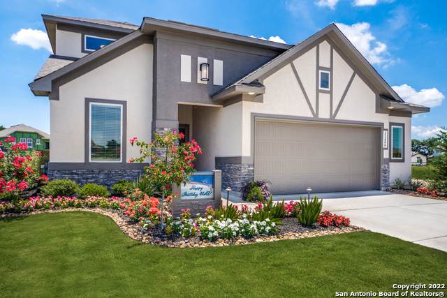 12439 Aurora Basin - Photo 1