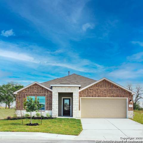 6634 Morgan Path - Photo 1