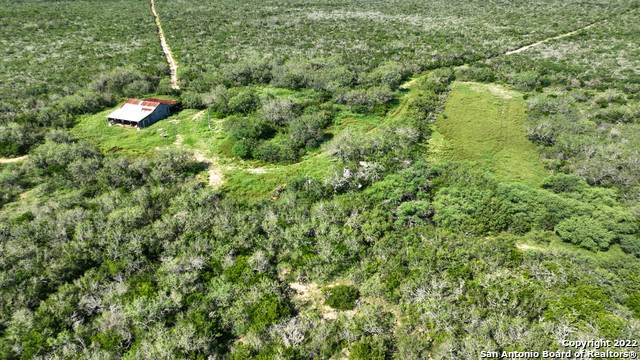 000 County Road 104 - Photo 1