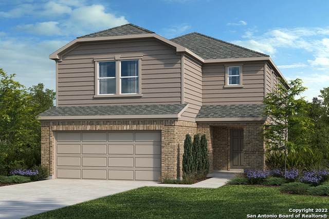 11737 Red Pheasant - Photo 1