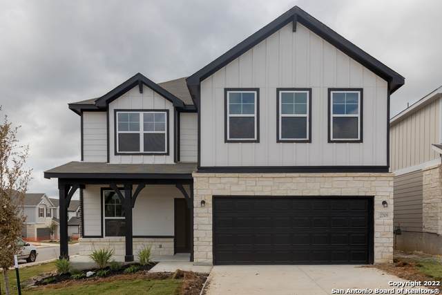 27509 Holly Grape - Photo 1