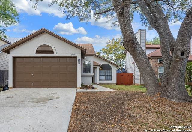 9135 Village Brown - Photo 1