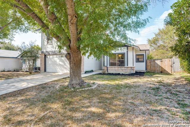 11087 Moonlit Park - Photo 1