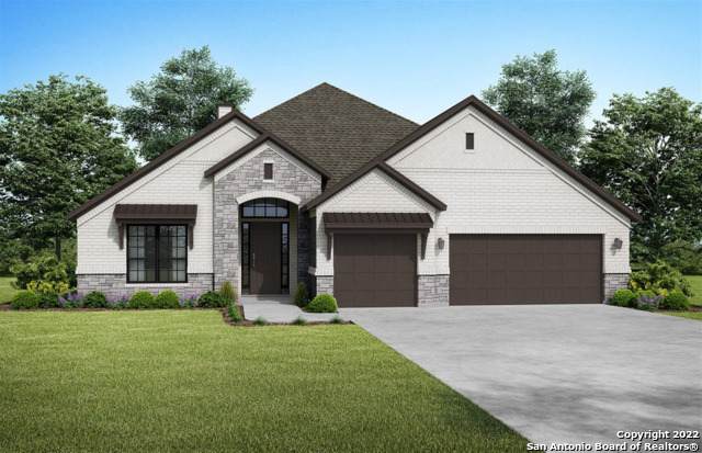 2847 Tortuga Verde - Photo 1