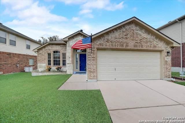 25611 Sophora - Photo 1