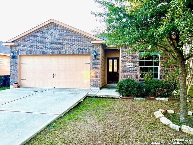 6603 Luckey Square - Photo 1
