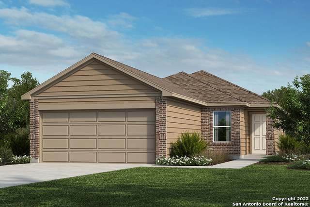 11724 Red Pheasant - Photo 1
