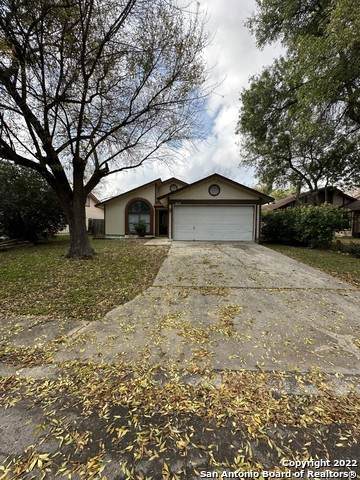 8622 Ridge Flower - Photo 1
