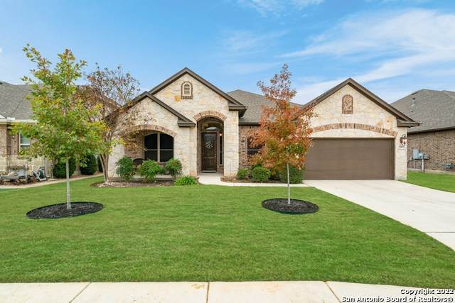 22019 Gypsy Cliff - Photo 1