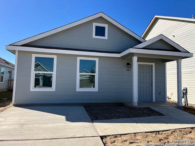 1003 Cook Bend - Photo 1