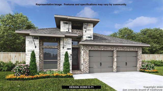 668 Vireos Street - Photo 1