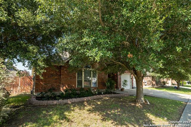 2978 Palomino Pass - Photo 1