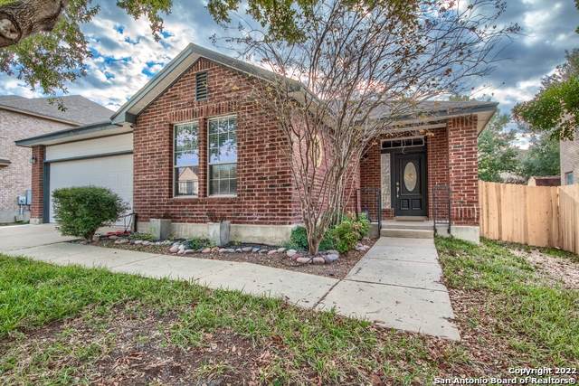 169 Springtree Blf - Photo 1