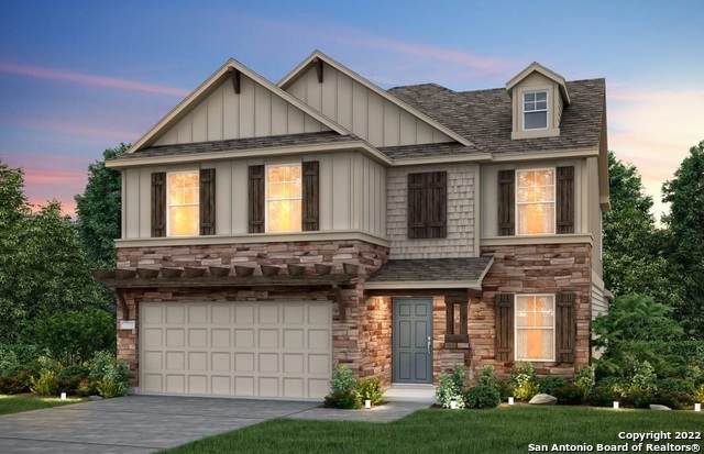 3141 Mountain Mint - Photo 1