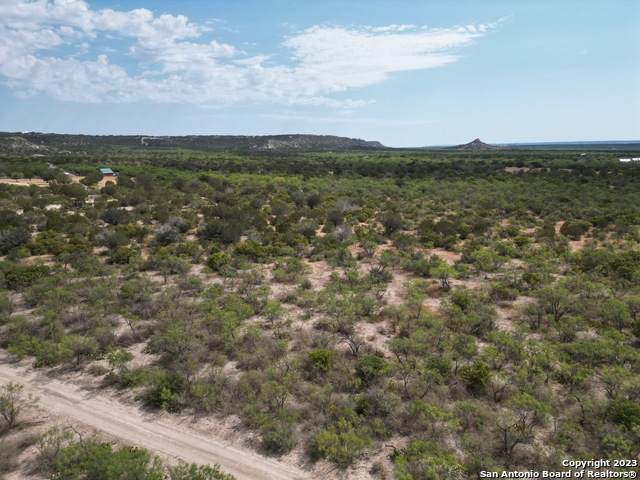 1177 Tea Cup Dr - Photo 1