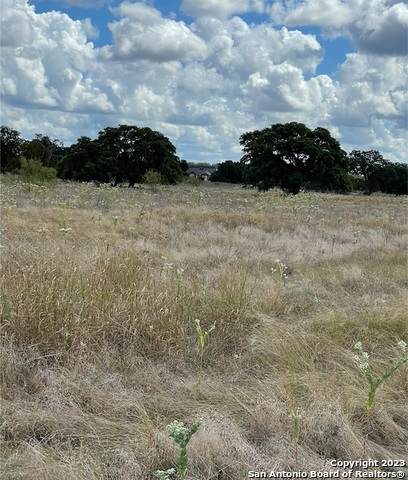 TBD Martingale Trail - Photo 1