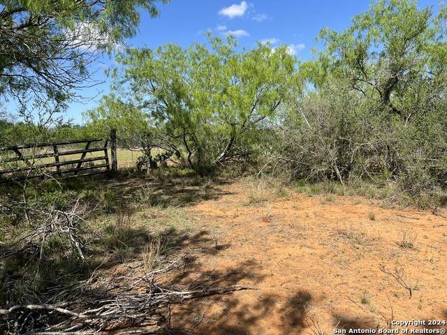 0 Carroll Road - Photo 1