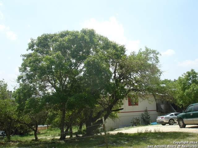 335 Polly Peak - Photo 1
