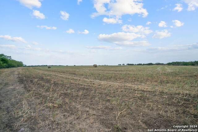 0000 New Sulphur Springs - Photo 1