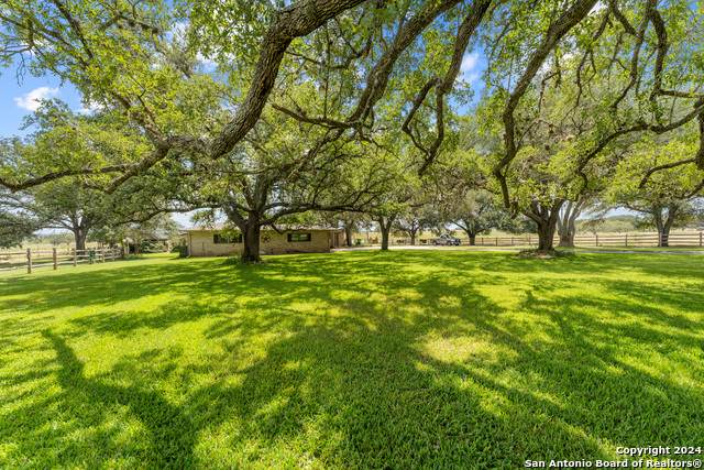 435 Pine Meadow Rd - Photo 1