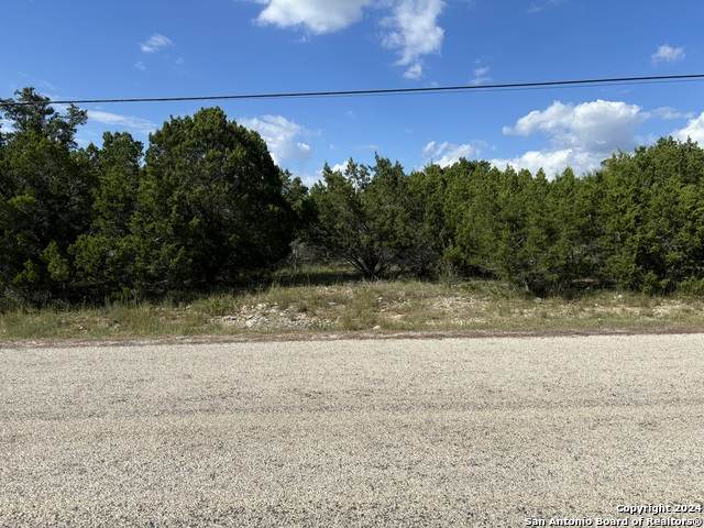 336 Lily St - Photo 1