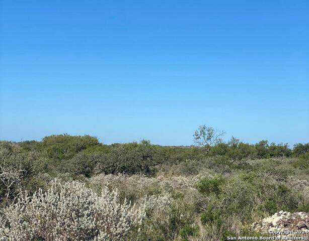 195 Legend Hills Rd - Photo 1