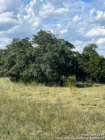 317 Bosque Ridge - Photo 1
