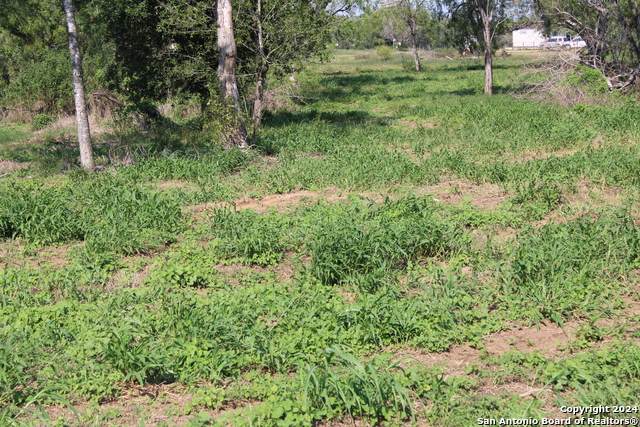 0 Bernhardt Rd - Photo 1