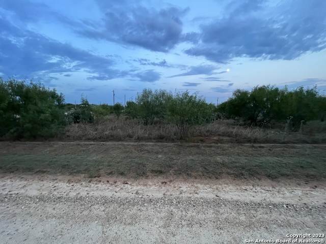 TBD Cr 3435 Lot 7 & 8 Blk 8 - Photo 1