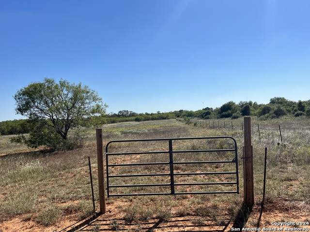 13710 Us Highway 87 S - Photo 1