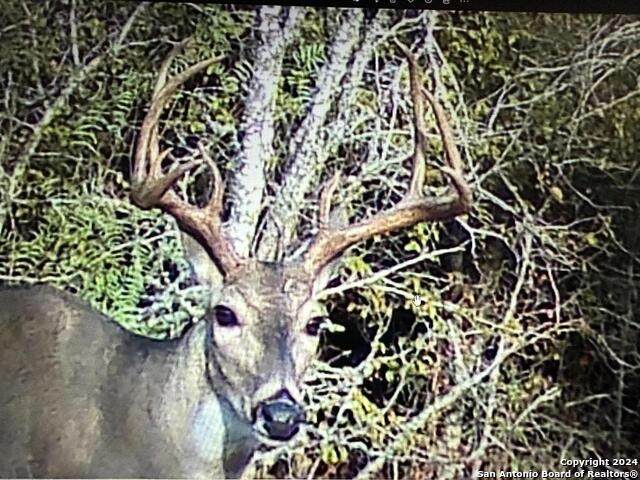 13004 Fm 3353 - Photo 1