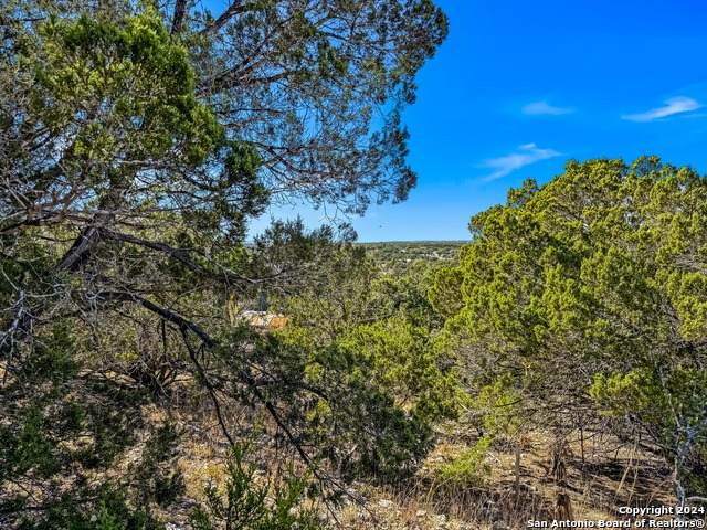 2900 Rocky Ridge Loop - Photo 1