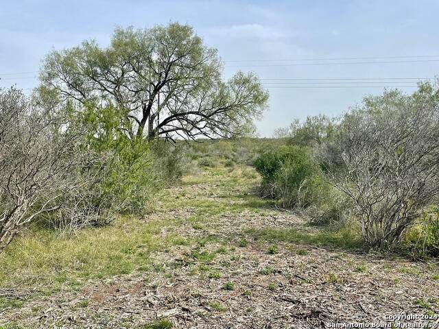 173 County Road 1670 - Photo 1