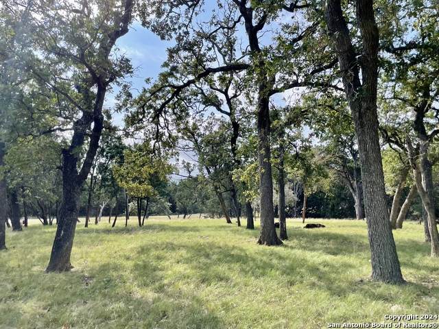 125 Firewheel Dr - Photo 1