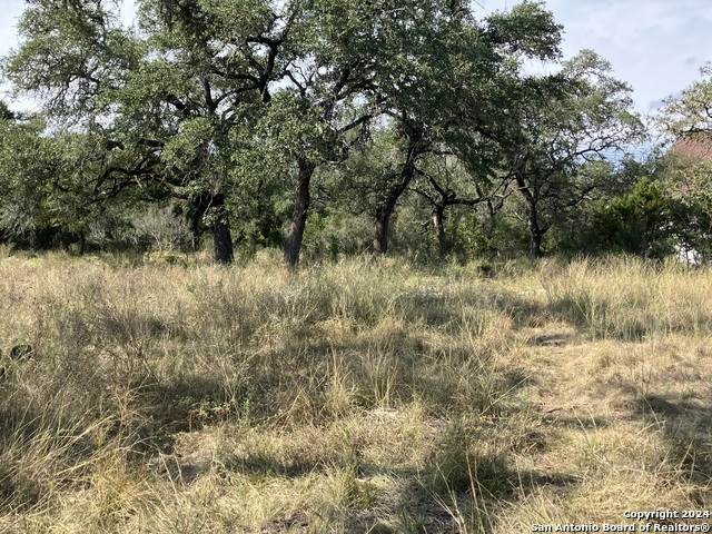 6380 Spring Branch Rd - Photo 1
