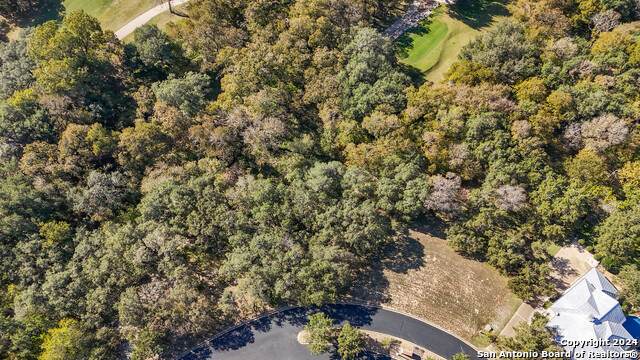 58 Eton Green Cir - Photo 1