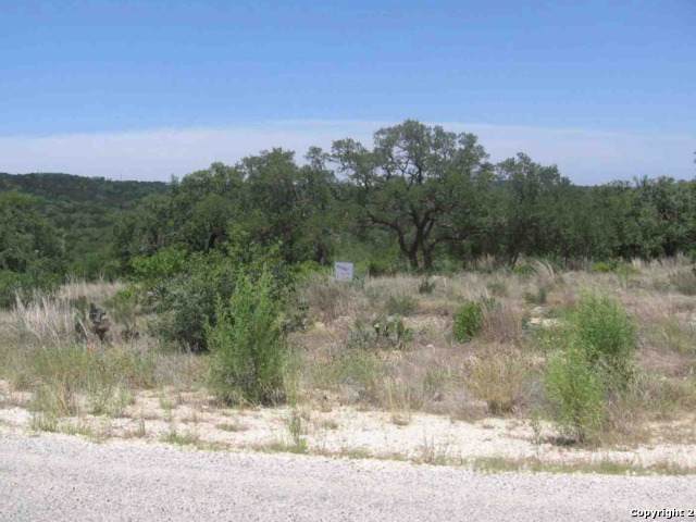 LOT 41 Canyon Creek Preserve Phase 6 - Photo 1