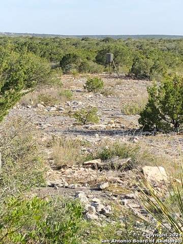 LOT44-L New Leona Ranch - Photo 1