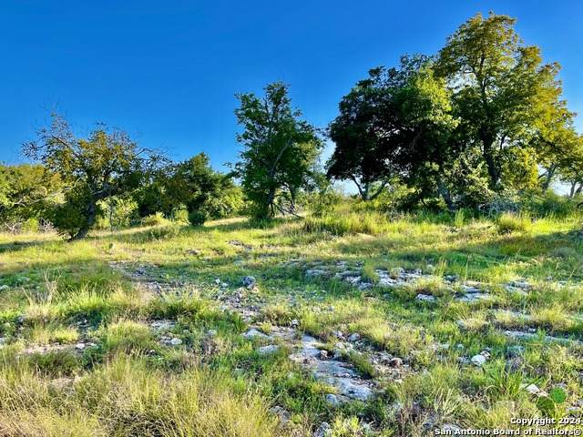 000 Canyons Dr. - Photo 1