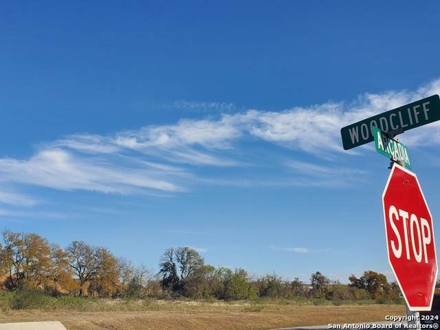 0 Woodcliffe Dr - Photo 1