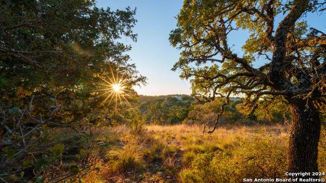 259 Lookout Point N - Photo 1