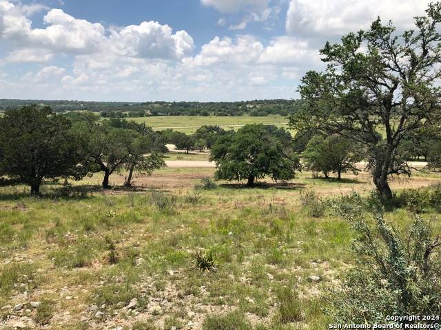 000 Old Comfort Rd - Photo 1