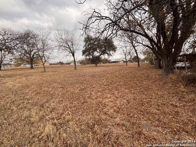 90 Highway 90 Hwy - Photo 1