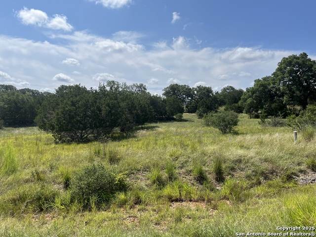 LOT 137 Palomino Springs - Photo 1