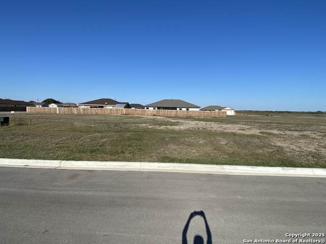 121 Troubadour Ln - Photo 1