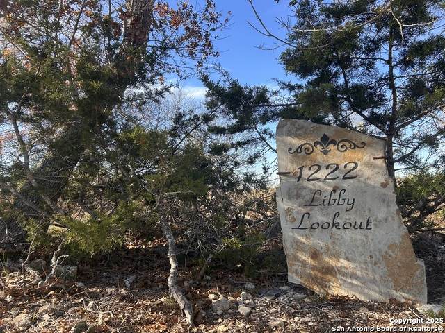 1222 Libby Lookout - Photo 1