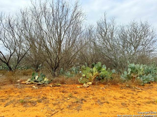 TBD Old Hwy 81 Lot 2 - Photo 1