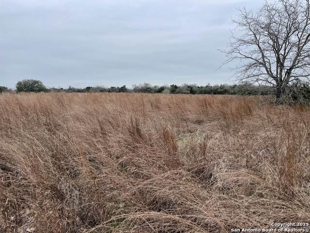 00 Mule Creek Rd - Photo 1