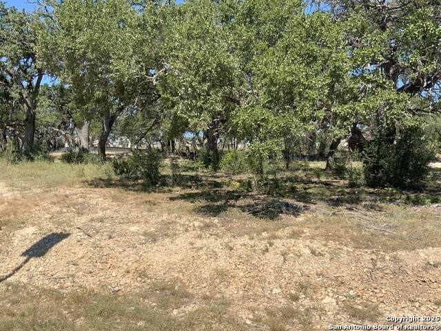 24610 Cliff Line - Photo 1